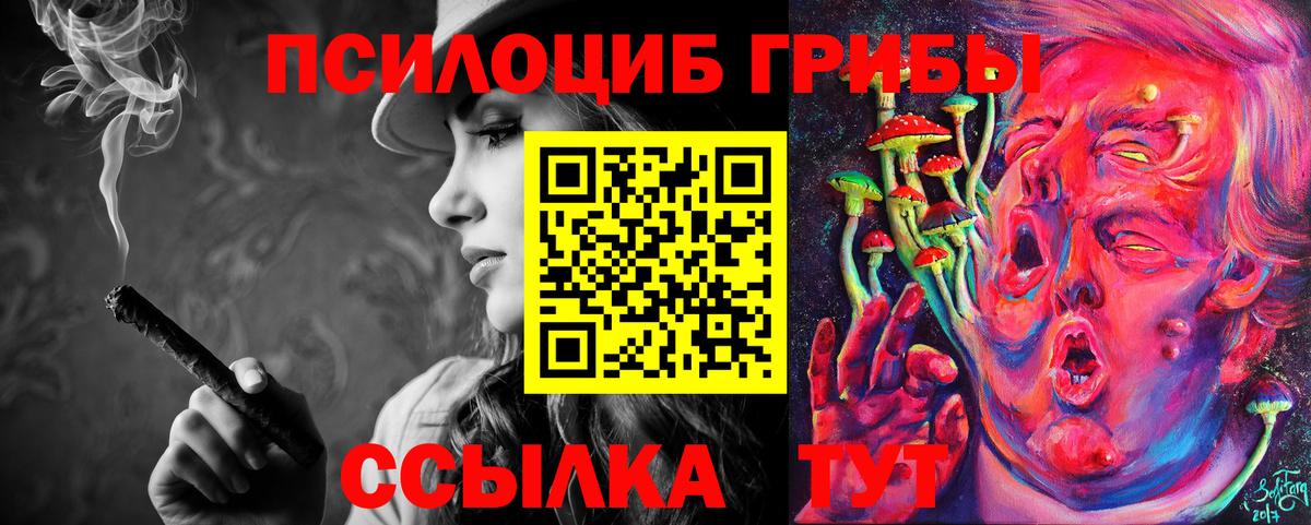 хочу наркоту  Вход с VPN  Шатура  Псилоцибиновые грибы мухоморы  Галлюциногенные грибы мицелий 