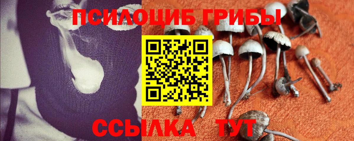 Псилоцибиновые грибы Cubensis Шатура